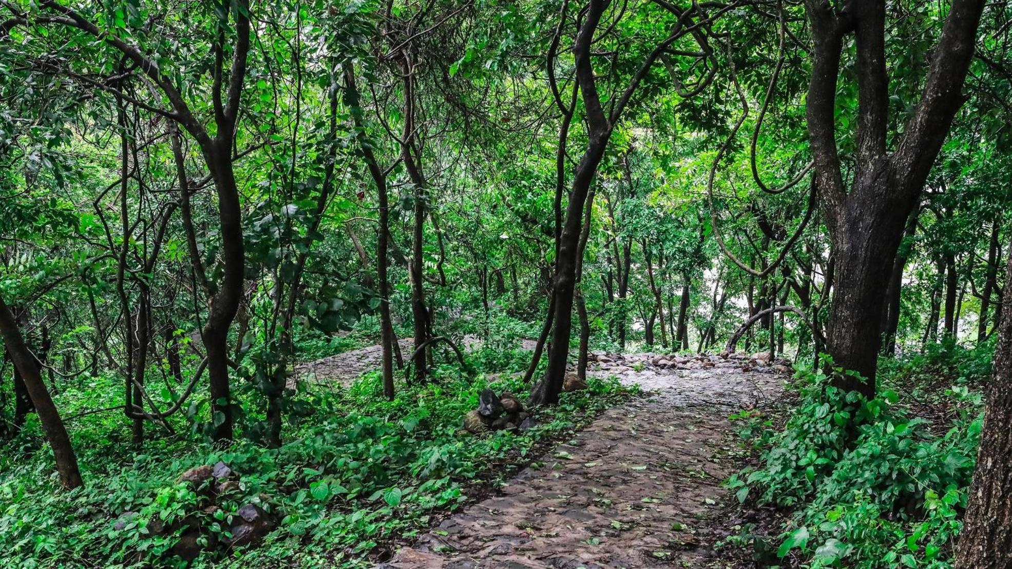 Misty Green Hills Parks & Resorts Kondotty Eksteriør bilde